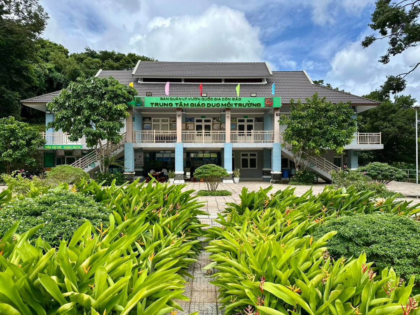 Cận cảnh chim bồ câu Sách Đỏ được người dân giao nộp ở Côn Đảo- Ảnh 5.
