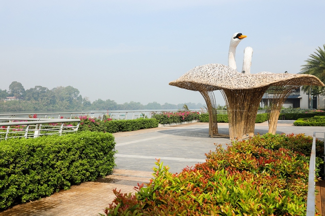 Đảo giữa sông ngay gần TP.HCM, đường đi chỉ mất 1 tiếng: Du khách nhận xét "Không ngờ có nơi như vậy!"- Ảnh 5. Đảo giữa sông ngay gần TP.HCM, đường đi chỉ mất 1 tiếng: Du khách nhận xét "Không ngờ có nơi như vậy!"- Ảnh 5.