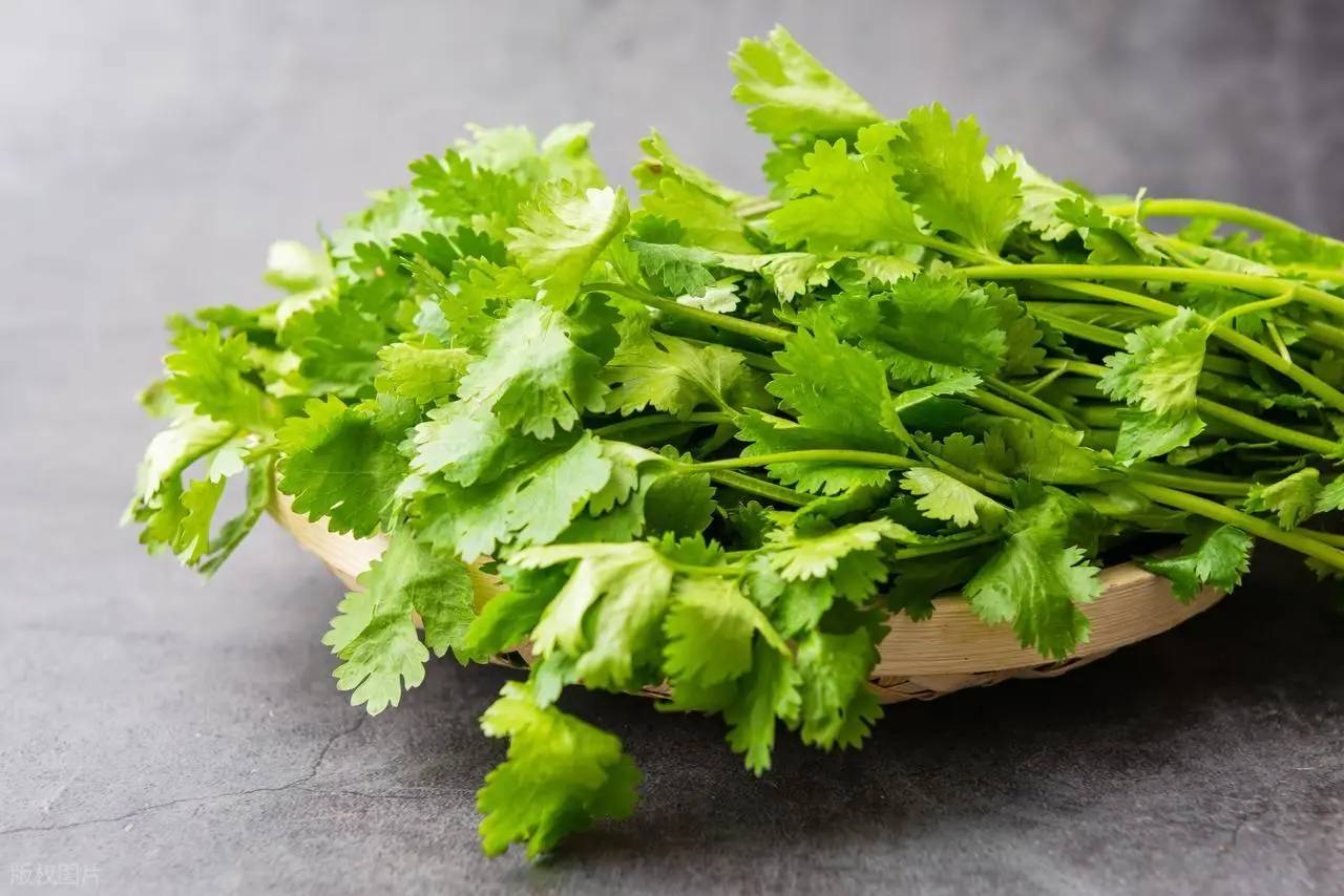 Tôi mới nhận ra 6 loại gia vị trong bếp này đều là "chuyên gia sức khỏe"! Giờ ăn vẫn chưa muộn đâu!- Ảnh 6. Tôi mới nhận ra 6 loại gia vị trong bếp này đều là "chuyên gia sức khỏe"! Giờ ăn vẫn chưa muộn đâu!- Ảnh 6.