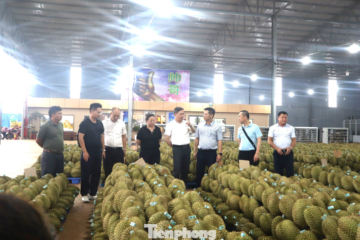 Doanh nghiệp Trung Quốc nói gì về chất lượng sầu riêng Việt Nam?- Ảnh 1. Doanh nghiệp Trung Quốc nói gì về chất lượng sầu riêng Việt Nam?- Ảnh 1.