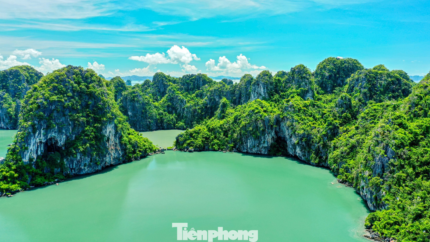 Ngắm vịnh Bái Tử Long từ tuyến đường bao biển đẹp nhất Việt Nam- Ảnh 12. Ngắm vịnh Bái Tử Long từ tuyến đường bao biển đẹp nhất Việt Nam- Ảnh 12.