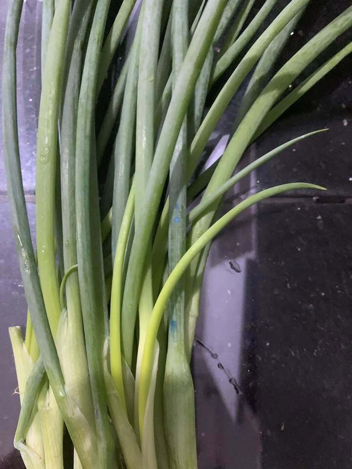 Dấu hiệu hành lá 'ngậm' hoá chất được chuyên gia ĐH Bách khoa chỉ rõ- Ảnh 1.