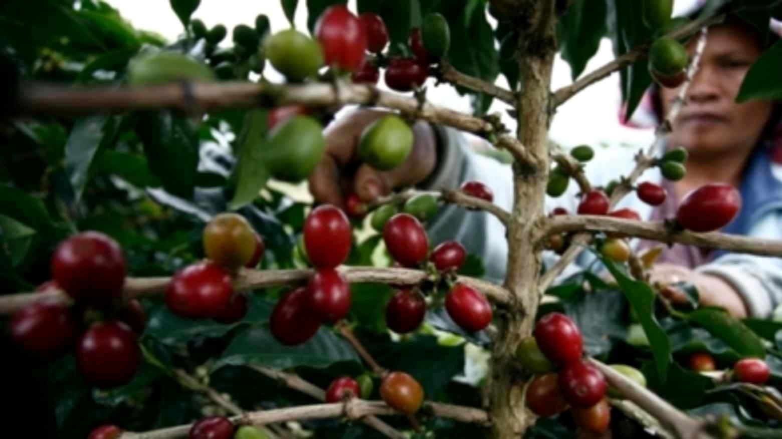 Chịu mức thuế 40% của Mỹ, nước láng giềng Việt Nam tính chuyển hướng xuất khẩu mặt hàng ‘hái ra tiền’ sang Nga- Ảnh 1. Chịu mức thuế 40% của Mỹ, nước láng giềng Việt Nam tính chuyển hướng xuất khẩu mặt hàng ‘hái ra tiền’ sang Nga- Ảnh 1.