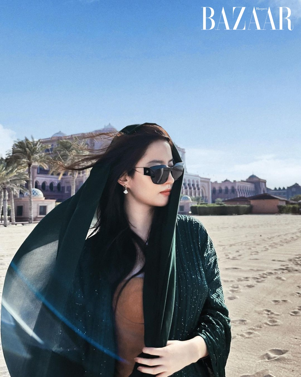 Mỹ nhân bị thời gian “chối bỏ”, giàu khủng nhưng chỉ sống độc thân trong biệt thự cao cấp 16.700m², tìm khắp Trung Quốc cũng hiếm thấy ai như vậy- Ảnh 3.