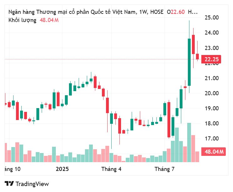 Rục rịch đưa "Gà đẻ trứng vàng" lên sàn, cổ phiếu loạt doanh nghiệp Việt tăng "bốc đầu"- Ảnh 4.