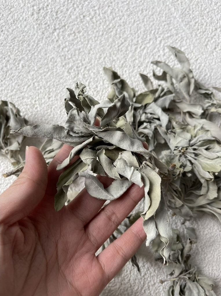 Ngày 9 tháng 9 Thần Tài mở kho: Làm sớm 3 việc để khai mở vận khí, đời hanh thông như thuyền gặp gió thuận- Ảnh 3.