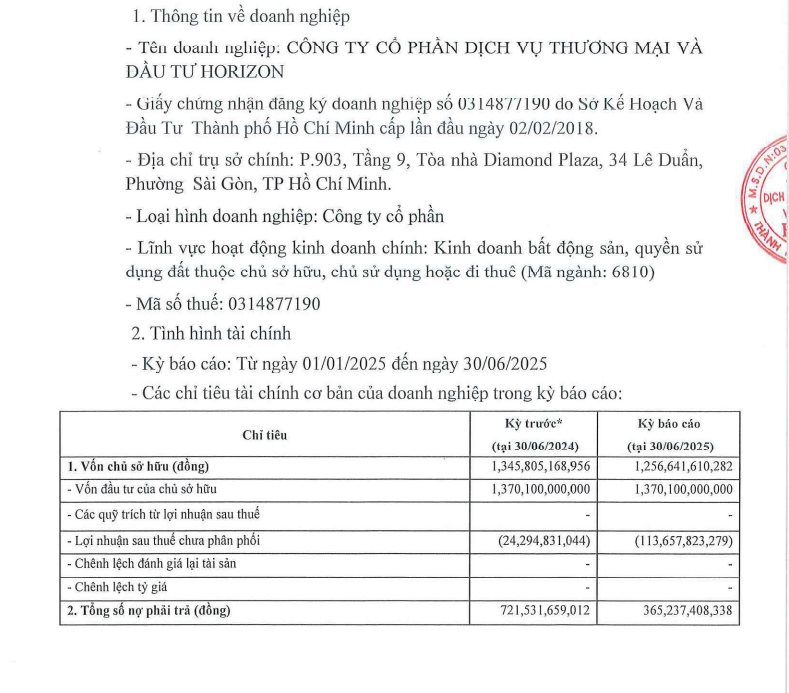 Horizon của Chủ tịch Nguyễn Quốc Hiển báo lỗ 90 tỷ đồng nửa đầu năm- Ảnh 2. Horizon của Chủ tịch Nguyễn Quốc Hiển báo lỗ 90 tỷ đồng nửa đầu năm- Ảnh 2.