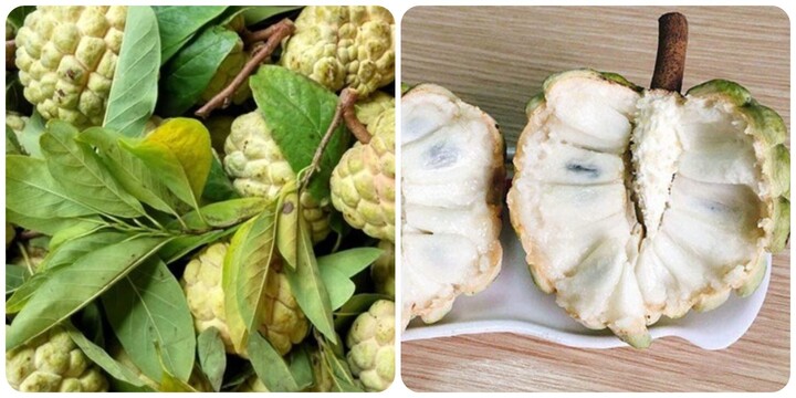 Quả na thơm ngon bổ dưỡng nhưng lại 'đại kỵ' với nhóm người này- Ảnh 1.