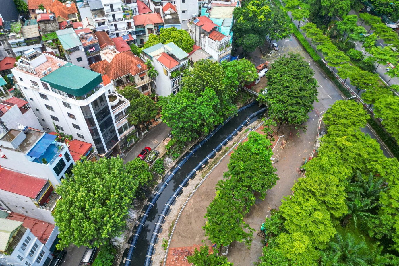 Bắt đầu dẫn nước từ hồ Tây, cá bơi tung tăng trên sông Tô Lịch- Ảnh 6.