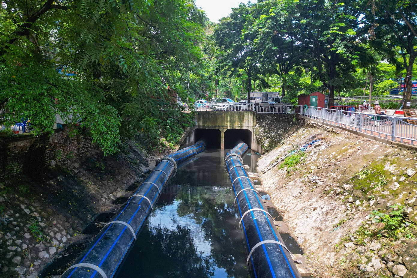 Bắt đầu dẫn nước từ hồ Tây, cá bơi tung tăng trên sông Tô Lịch- Ảnh 5.