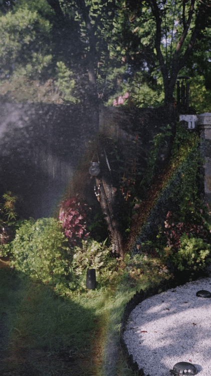 Bán nhà phố, cặp vợ chồng trung niên chuyển ra ngoại ô ở nhà 360m²: Giảm chi phí sống, làm 4 giờ/ngày vẫn đủ đầy- Ảnh 4.