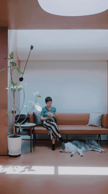 Bán nhà phố, cặp vợ chồng trung niên chuyển ra ngoại ô ở nhà 360m²: Giảm chi phí sống, làm 4 giờ/ngày vẫn đủ đầy- Ảnh 20.