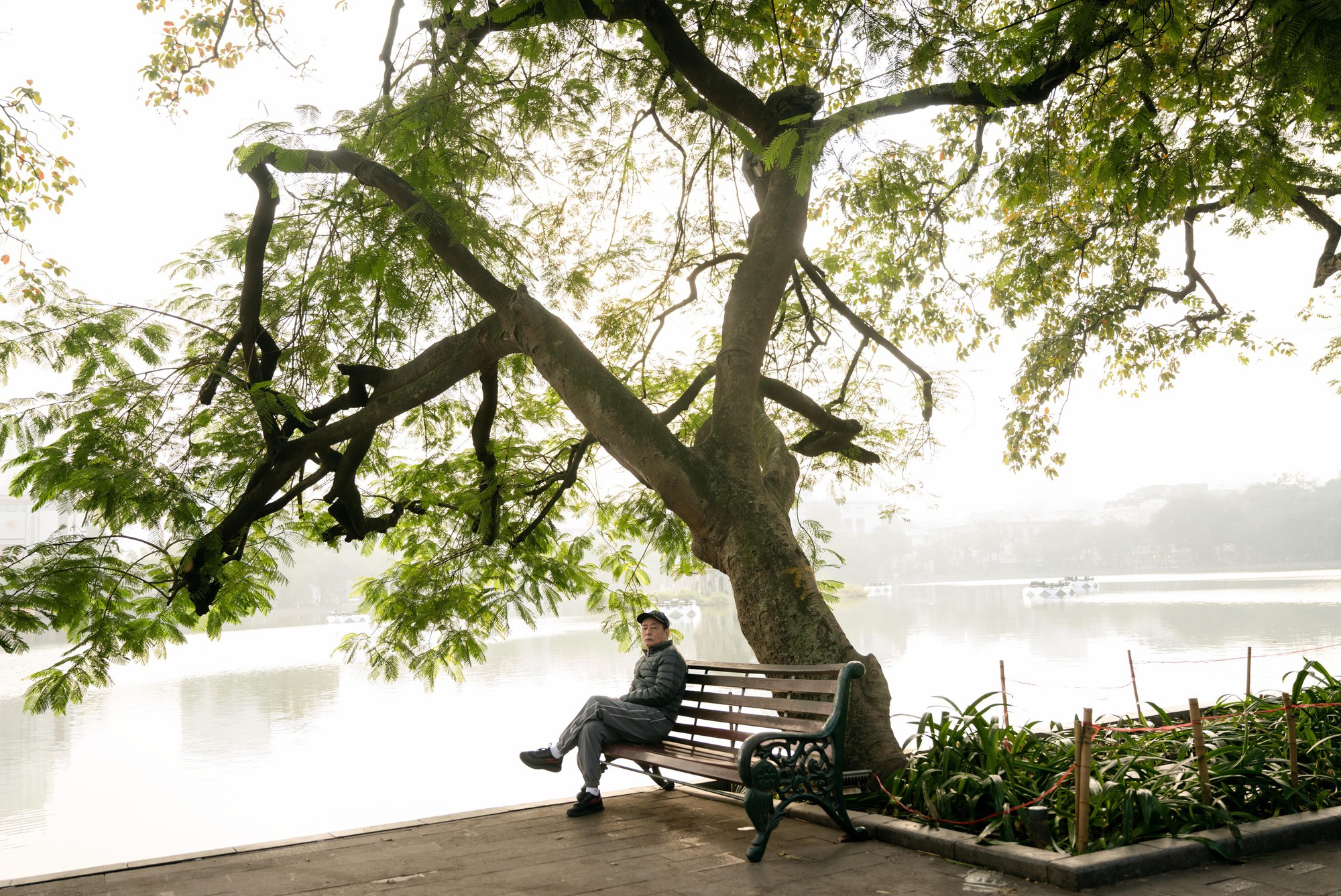 Ảnh, clip: Hà Nội thật lạ trong sáng đầu năm 2026- Ảnh 3.