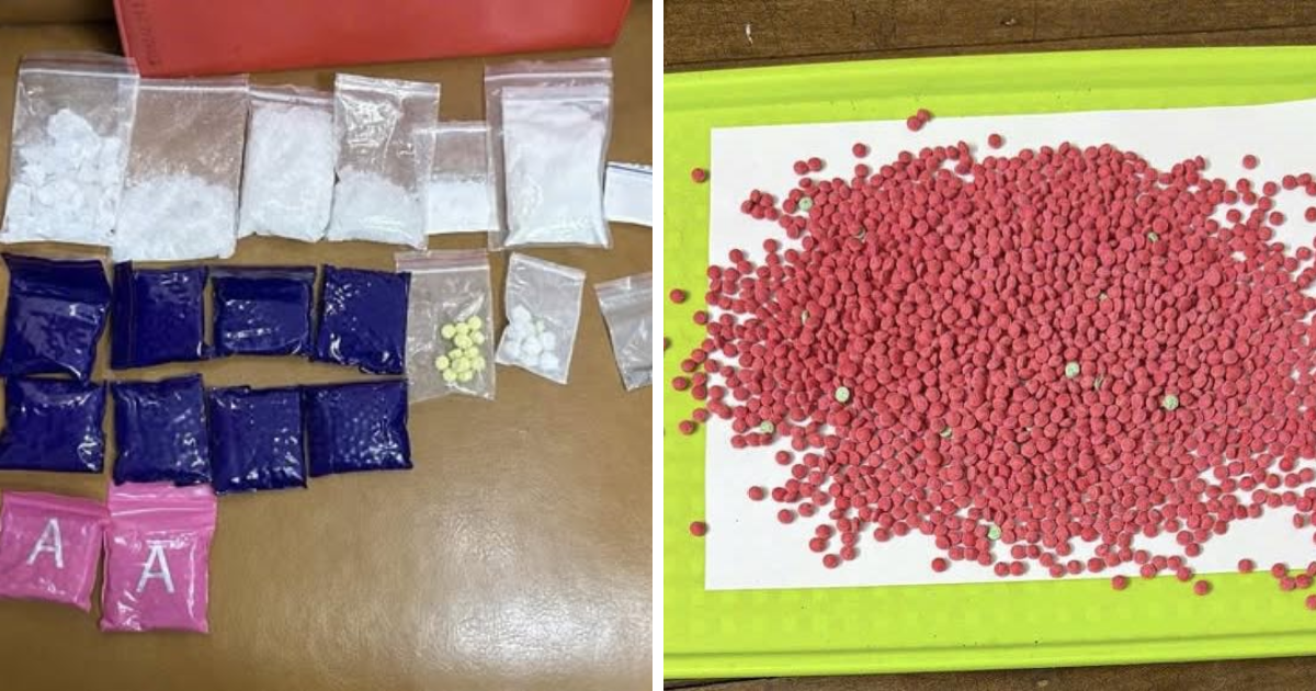 Bắt khẩn cấp và khám xét nơi ở của Lê Thị Mai Hoa - Ảnh 2.