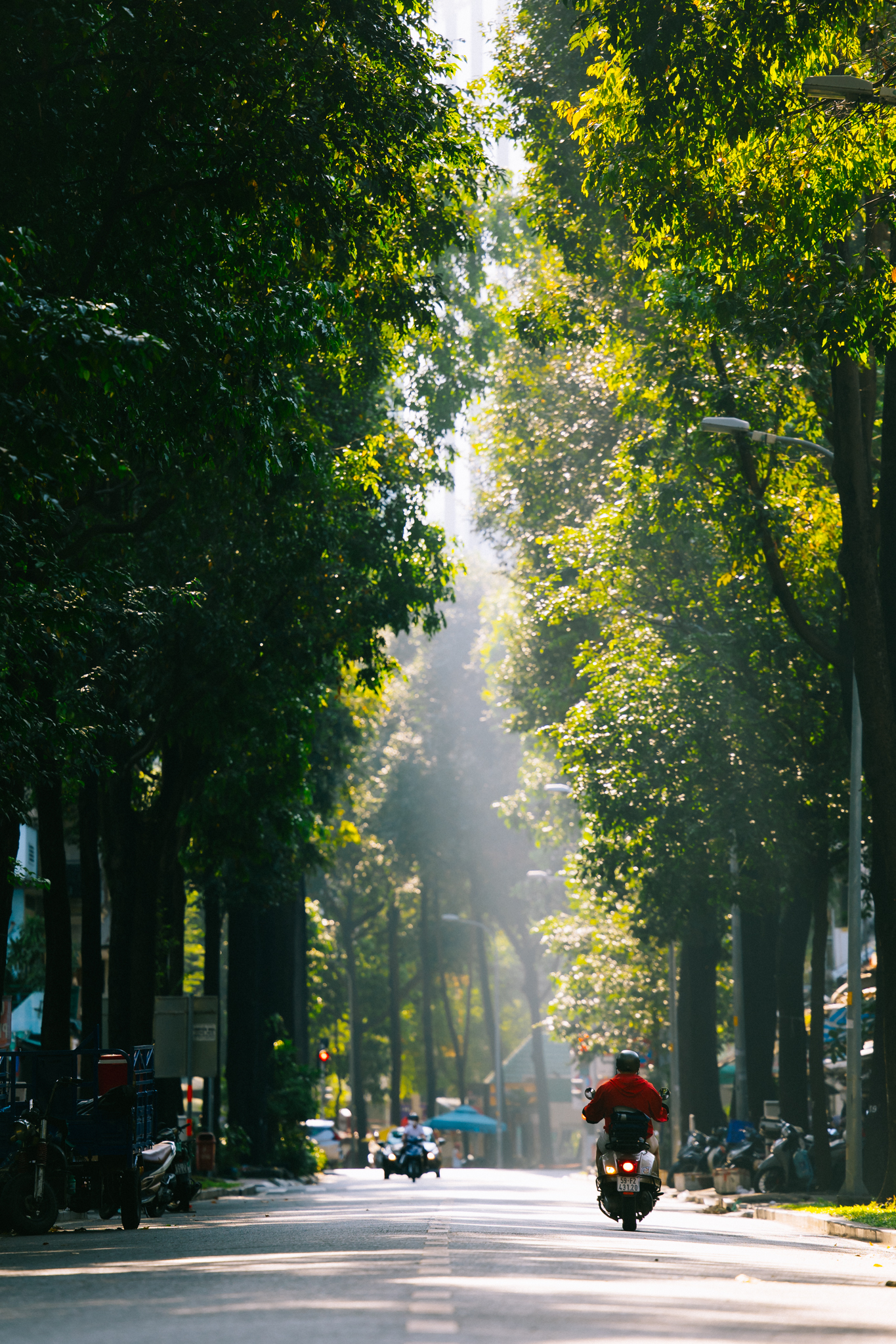 Ảnh, clip: Hà Nội và TP.HCM thật lạ trong sáng đầu năm 2026- Ảnh 22.