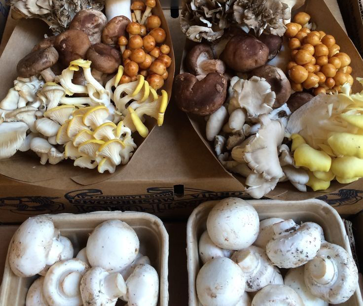 Chợ Việt có 6 thứ giá rẻ là "vua thải độc gan", tăng đề kháng, chống ung thư: Thấy phải mua ngay- Ảnh 4.