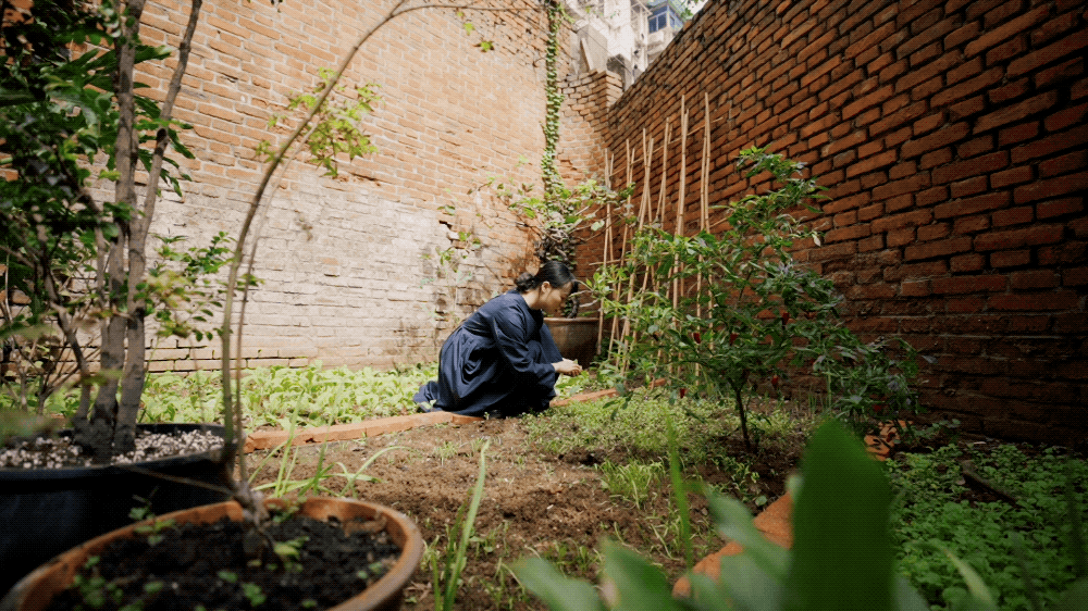 Căn hộ 46m² của đôi vợ chồng mới cưới trong nhà tập thể cũ gây sốt: Vì sao người trẻ đang “quay xe” về nhà cũ trung tâm - nhỏ nhưng đáng tiền hơn?- Ảnh 16.