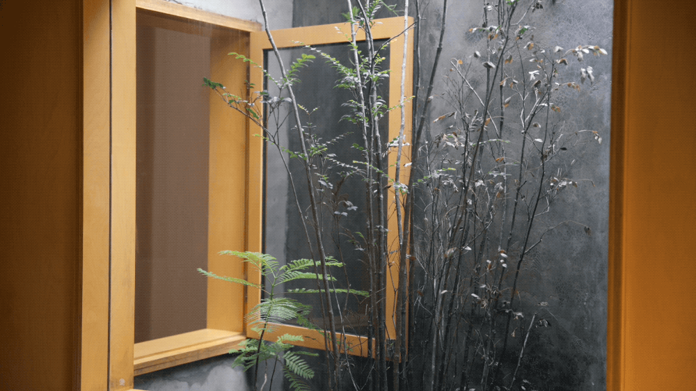 Căn hộ 46m² của đôi vợ chồng mới cưới trong nhà tập thể cũ gây sốt: Vì sao người trẻ đang “quay xe” về nhà cũ trung tâm - nhỏ nhưng đáng tiền hơn?- Ảnh 15.