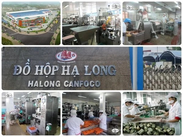 Bắt Tổng Giám đốc Công ty CP đồ hộp Hạ Long vì thịt heo nhiễm dịch tả - Ảnh 1.