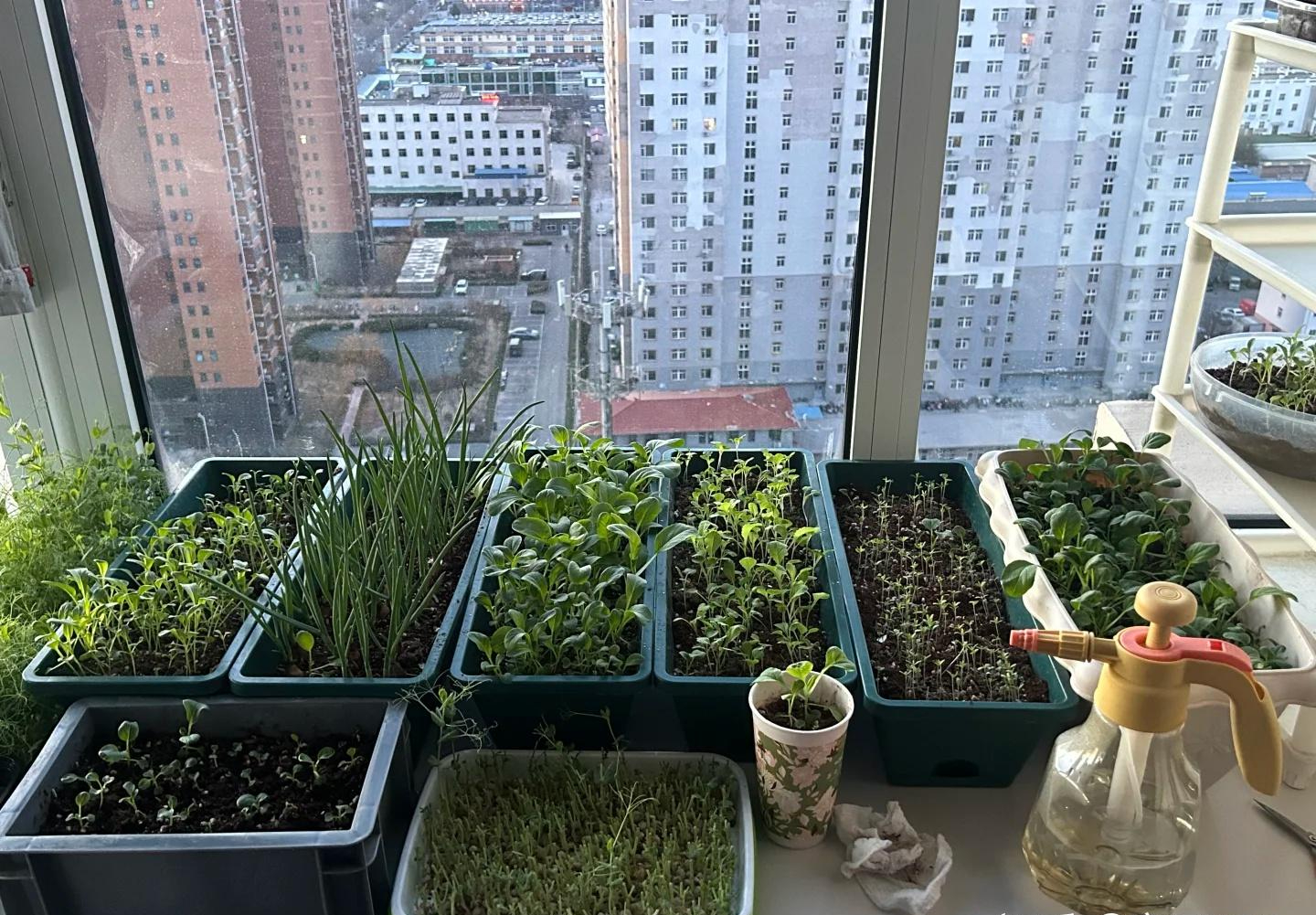 Tôi sững người trước lối sống tối giản của người phụ nữ 57 tuổi: Không phô trương, không nghèo khó - chỉ có một chiến lược tài chính bền bỉ khiến ai cũng nể- Ảnh 1.