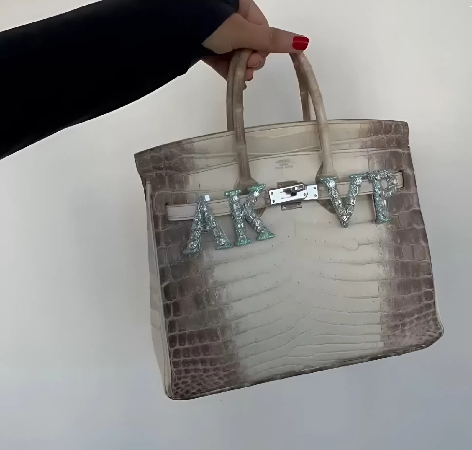 Túi Hermès da cá sấu của người phụ nữ giàu nhất châu Á gắn vật thể lạ- Ảnh 2. Túi Hermès da cá sấu của người phụ nữ giàu nhất châu Á gắn vật thể lạ- Ảnh 2.