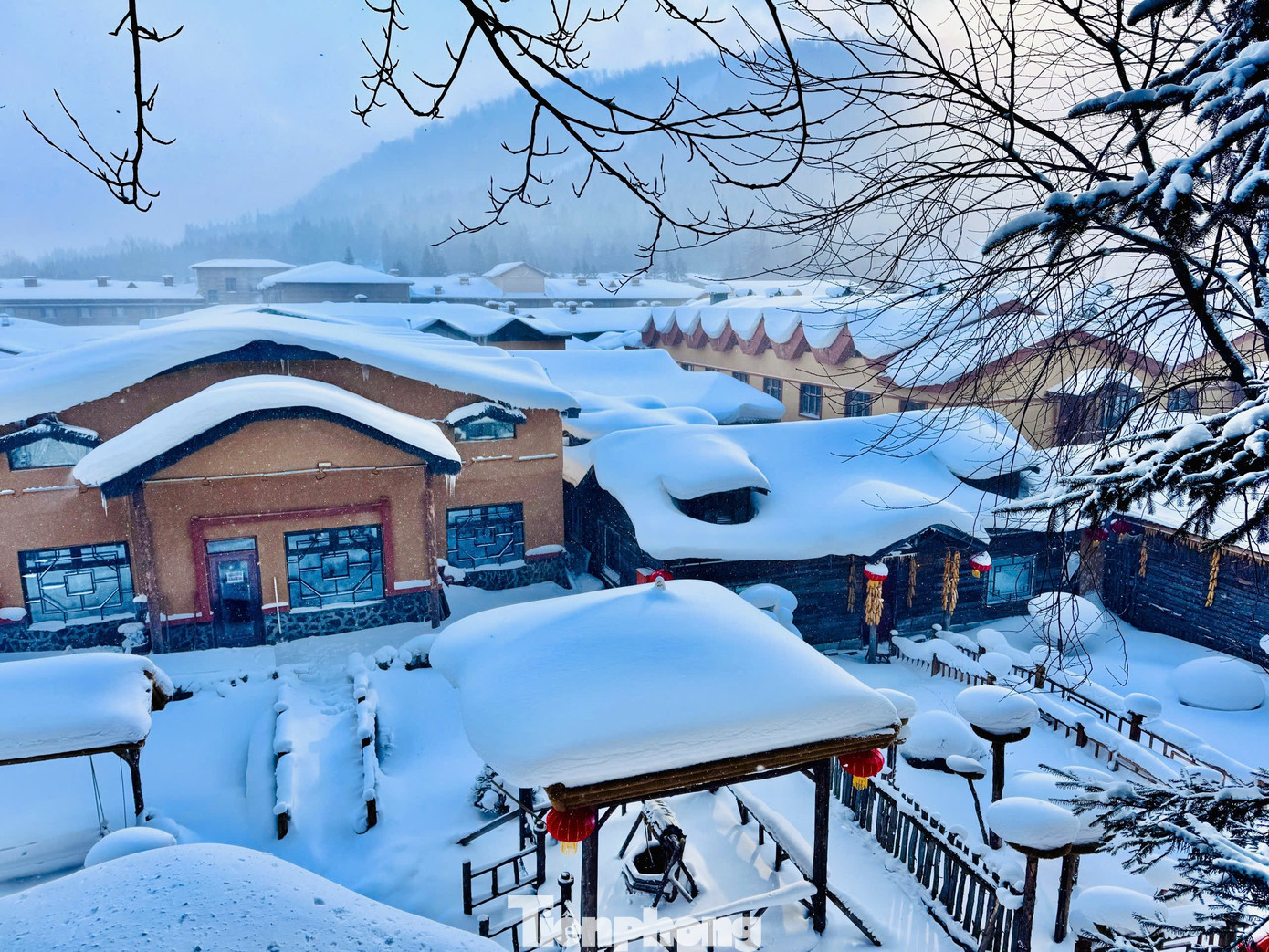 Vỡ òa cảnh siêu thực ngôi làng ở Hắc Long Giang, khách đến chỉ biết trầm trồ- Ảnh 4.