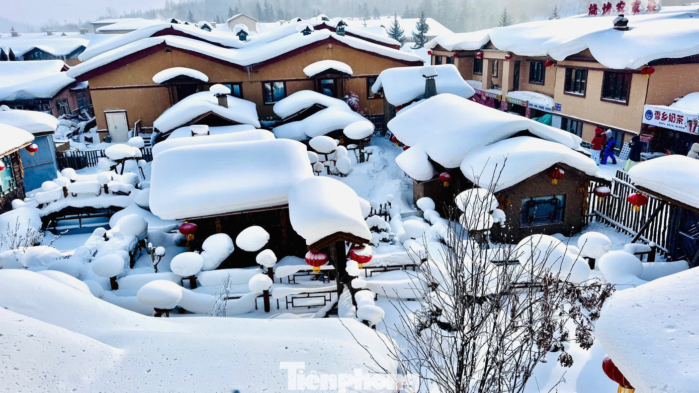 Vỡ òa cảnh siêu thực ngôi làng ở Hắc Long Giang, khách đến chỉ biết trầm trồ- Ảnh 5.