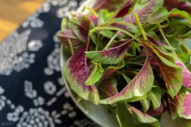 Một bát rau rẻ tiền này được ví "bằng cả thùng sữa": Người già ăn đều, xương chắc hơn, chân tay khỏe ra trông thấy- Ảnh 1.