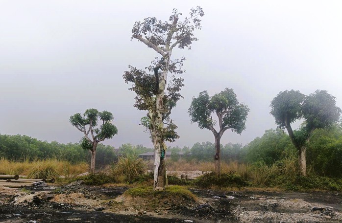 Dự án 250 tỉ đồng "chết yểu" ngay đường lên huyệt đạo thiêng - Ảnh 4.