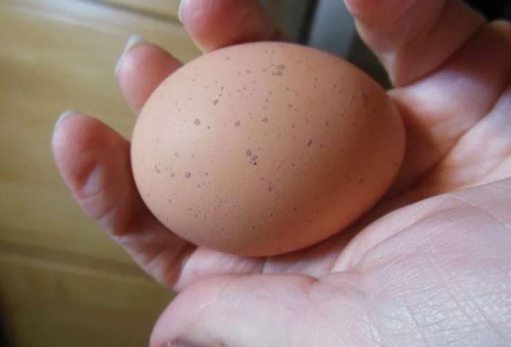Đi chợ thấy 4 loại trứng này thì giá rẻ mấy cũng đừng mua: ăn vào đau bụng, ngấm ngầm hại thân- Ảnh 3.