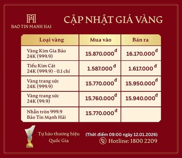 Giá vàng tiếp tục tăng mạnh, đạt kỷ lục chưa từng có, thẳng tiến tới cột mốc mới- Ảnh 2.