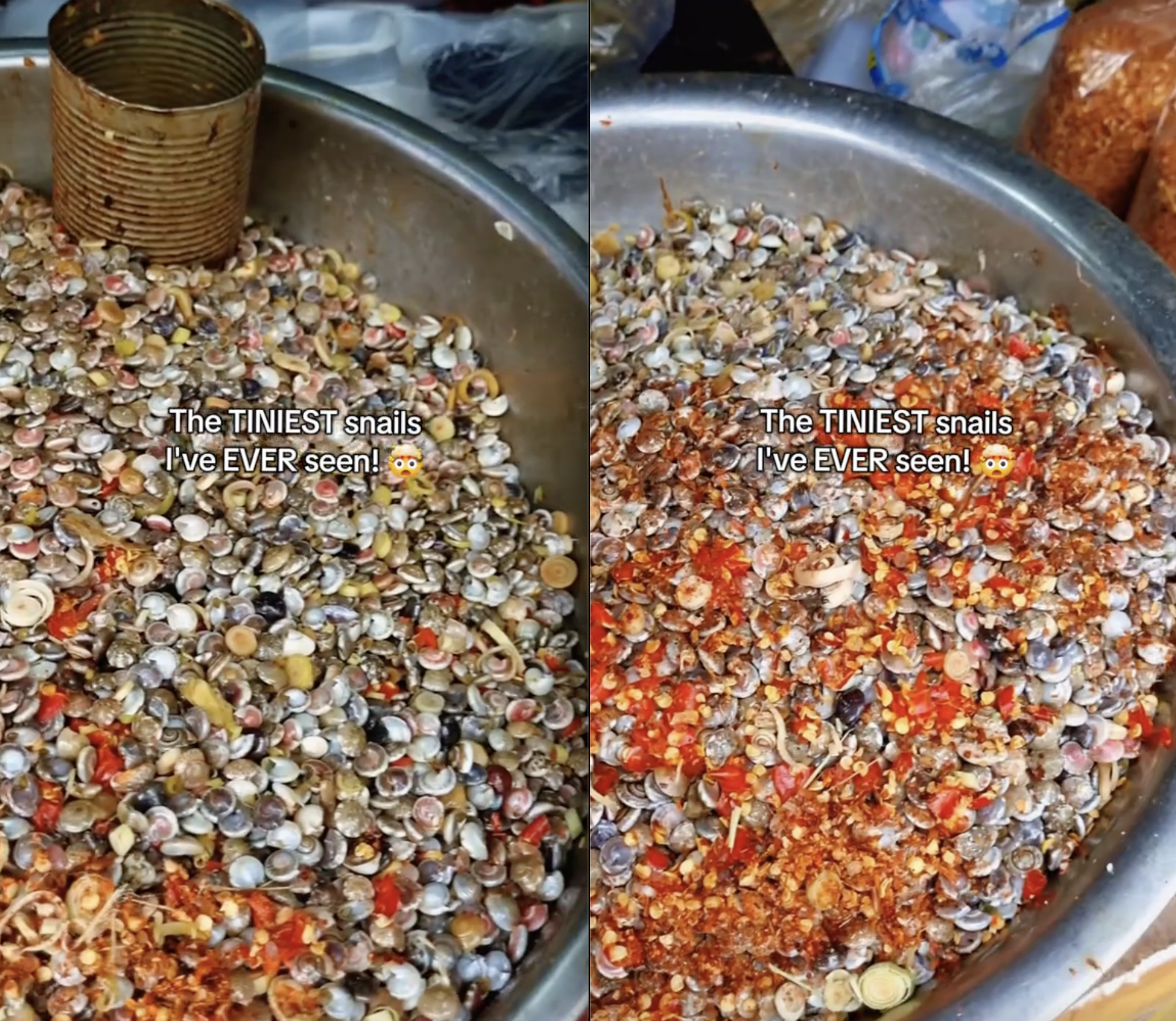 Bỏ 50.000 đồng mua món ốc lạ ở Việt Nam, khách Tây mỏi nhừ tay vì ăn mãi không xong- Ảnh 3.