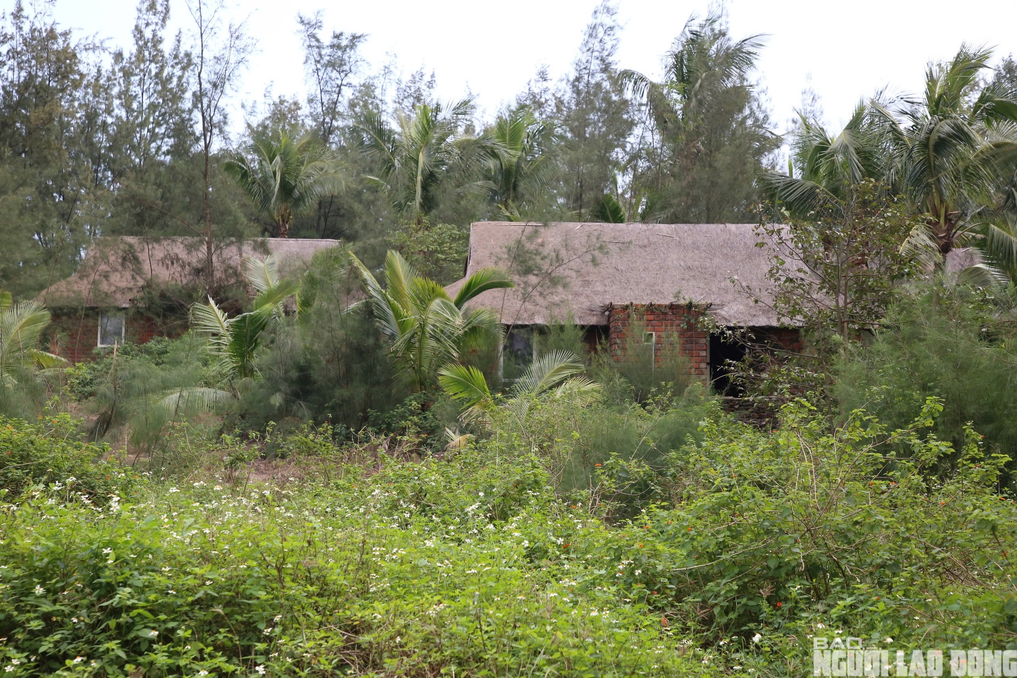 Hai khách sạn bỏ hoang tại Đồng Hới gây lo ngại về đầu tư Du lịch - Ảnh 5. Hai khách sạn bỏ hoang tại Đồng Hới gây lo ngại về đầu tư Du lịch - Ảnh 5.