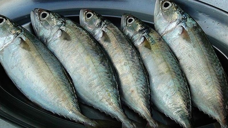 6 loài cá ít "ngậm" thủy ngân, omega-3 giàu vô địch: Chợ Việt bán sẵn - Ảnh 4.