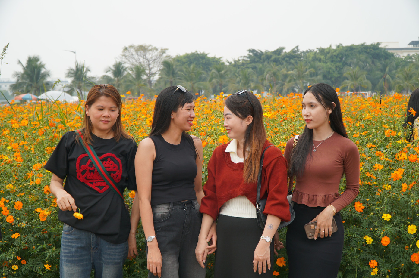 Sốt sình sịch với cánh đồng hoa xuân ở TPHCM- Ảnh 5.