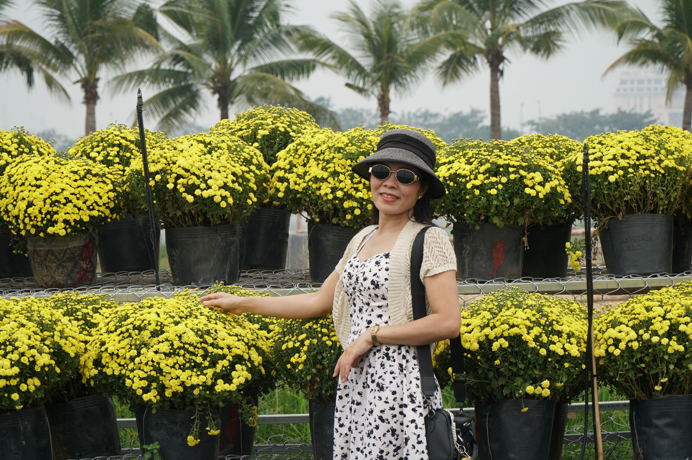 Sốt sình sịch với cánh đồng hoa xuân ở TPHCM- Ảnh 6.