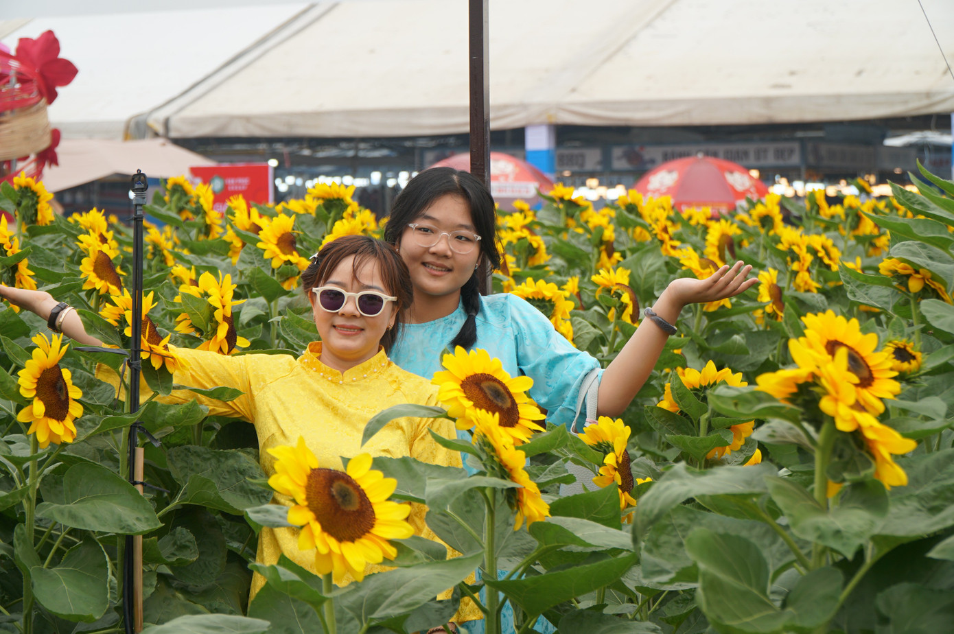 Sốt sình sịch với cánh đồng hoa xuân ở TPHCM- Ảnh 8.