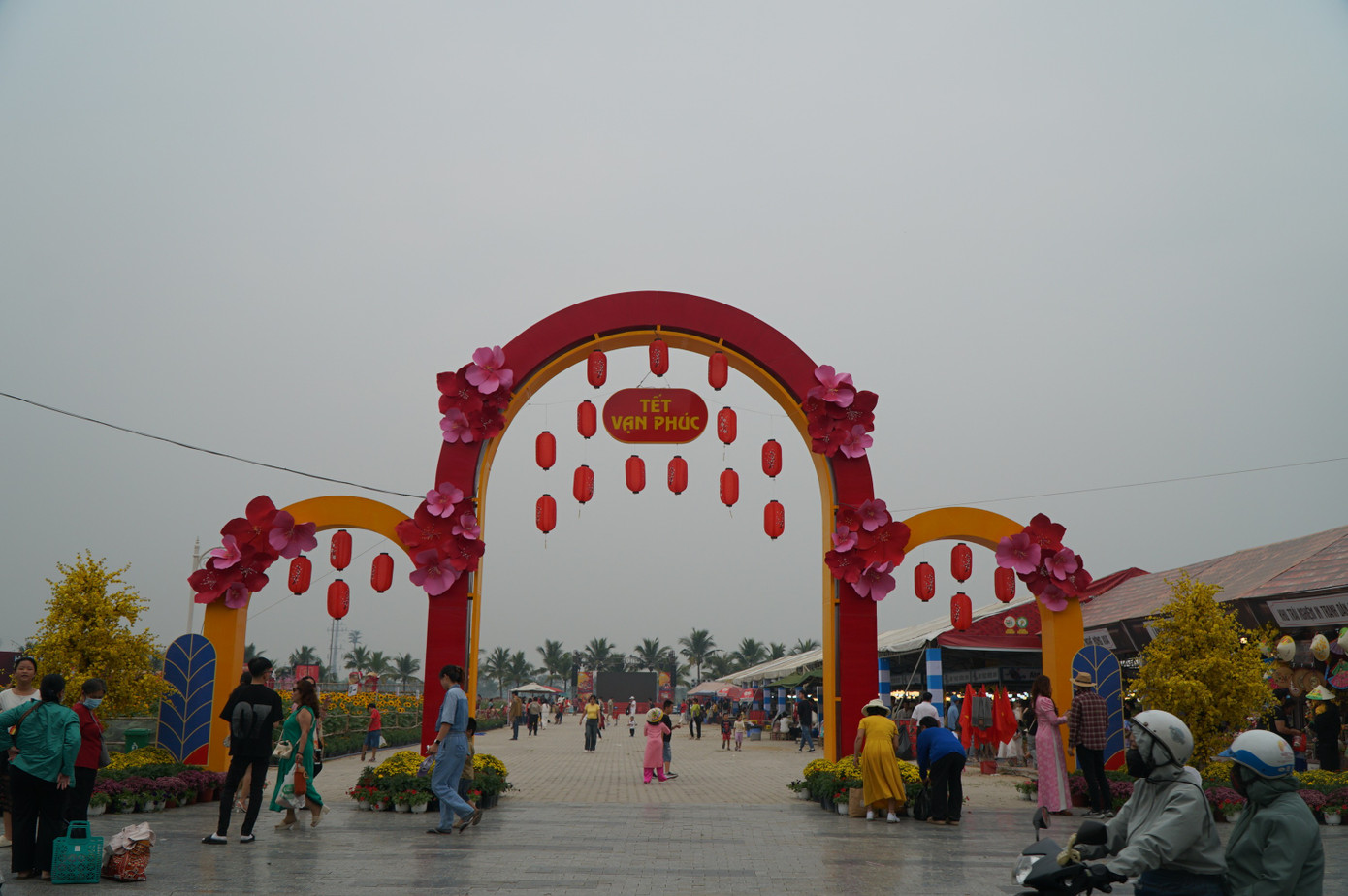 Sốt sình sịch với cánh đồng hoa xuân ở TPHCM- Ảnh 1.