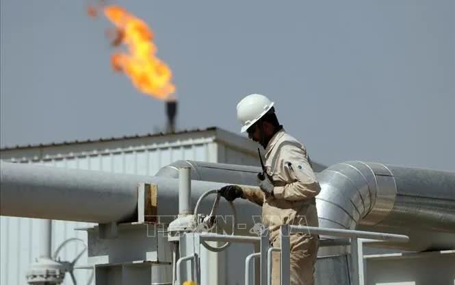 OPEC trước thách thức mới từ dầu mỏ Venezuela - Ảnh 1.