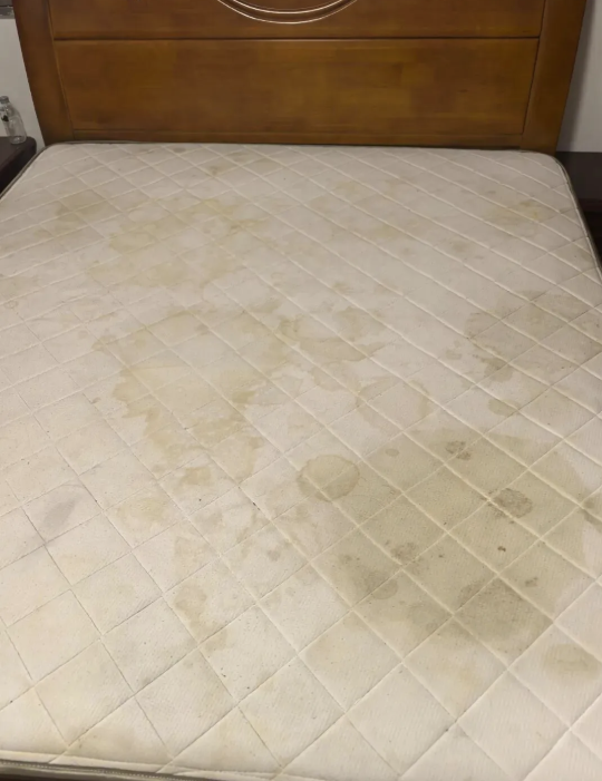 Nghèo mấy cũng ĐỪNG tiếc 8 thứ này: Giữ lại chỉ tổ chật nhà, hao vận- Ảnh 3.