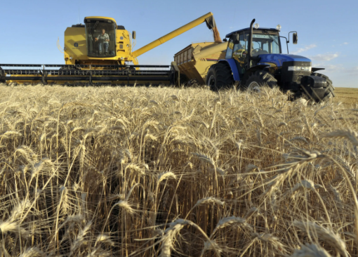 Hơn 700 nghìn tấn hàng từ Ukraine đổ bộ Việt Nam trong năm 2025, là mặt hàng nước ta gần như không trồng được - Ảnh 1.