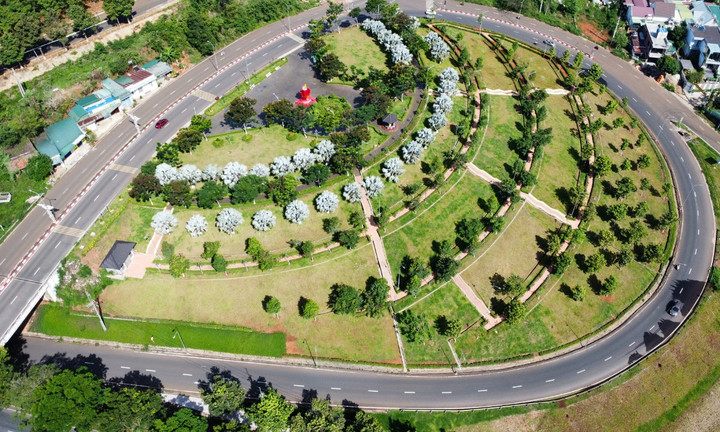 Đề nghị truy tố Chủ tịch HĐQT Công ty cây xanh Công Minh- Ảnh 1.