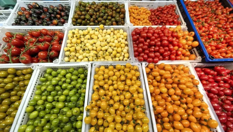 Loại quả là "thần dược giảm cân", ít calo, giàu chất xơ lại vô cùng ngon miệng, ăn bao nhiêu cũng không sợ béo - Ảnh 2.