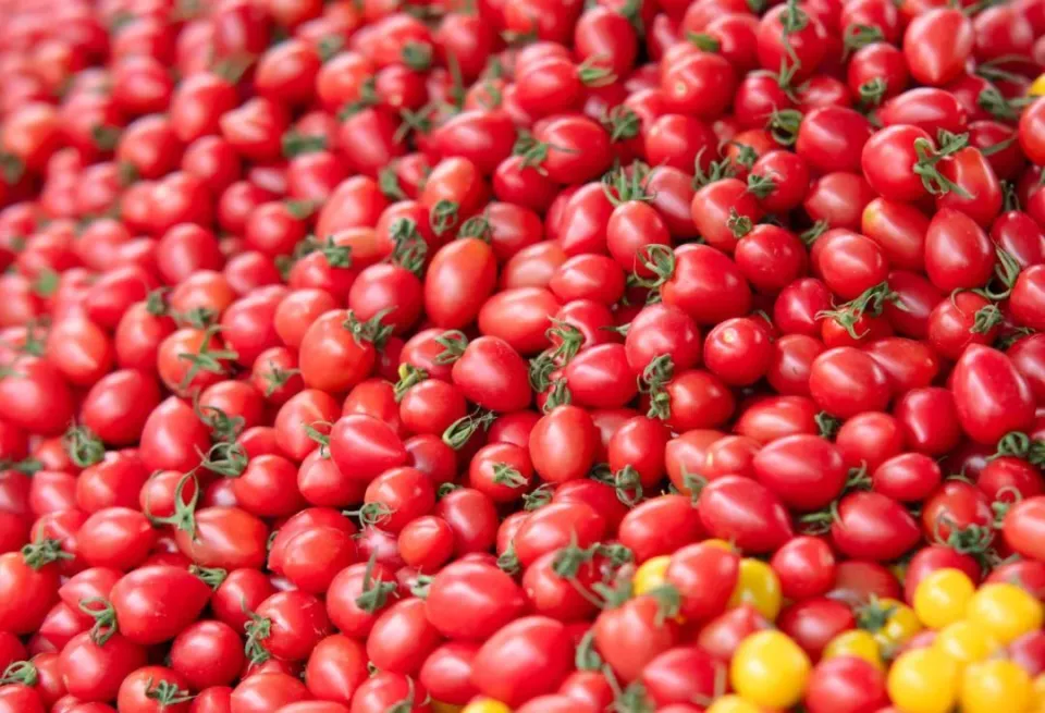 Loại quả là "thần dược giảm cân", ít calo, giàu chất xơ lại vô cùng ngon miệng, ăn bao nhiêu cũng không sợ béo - Ảnh 1.