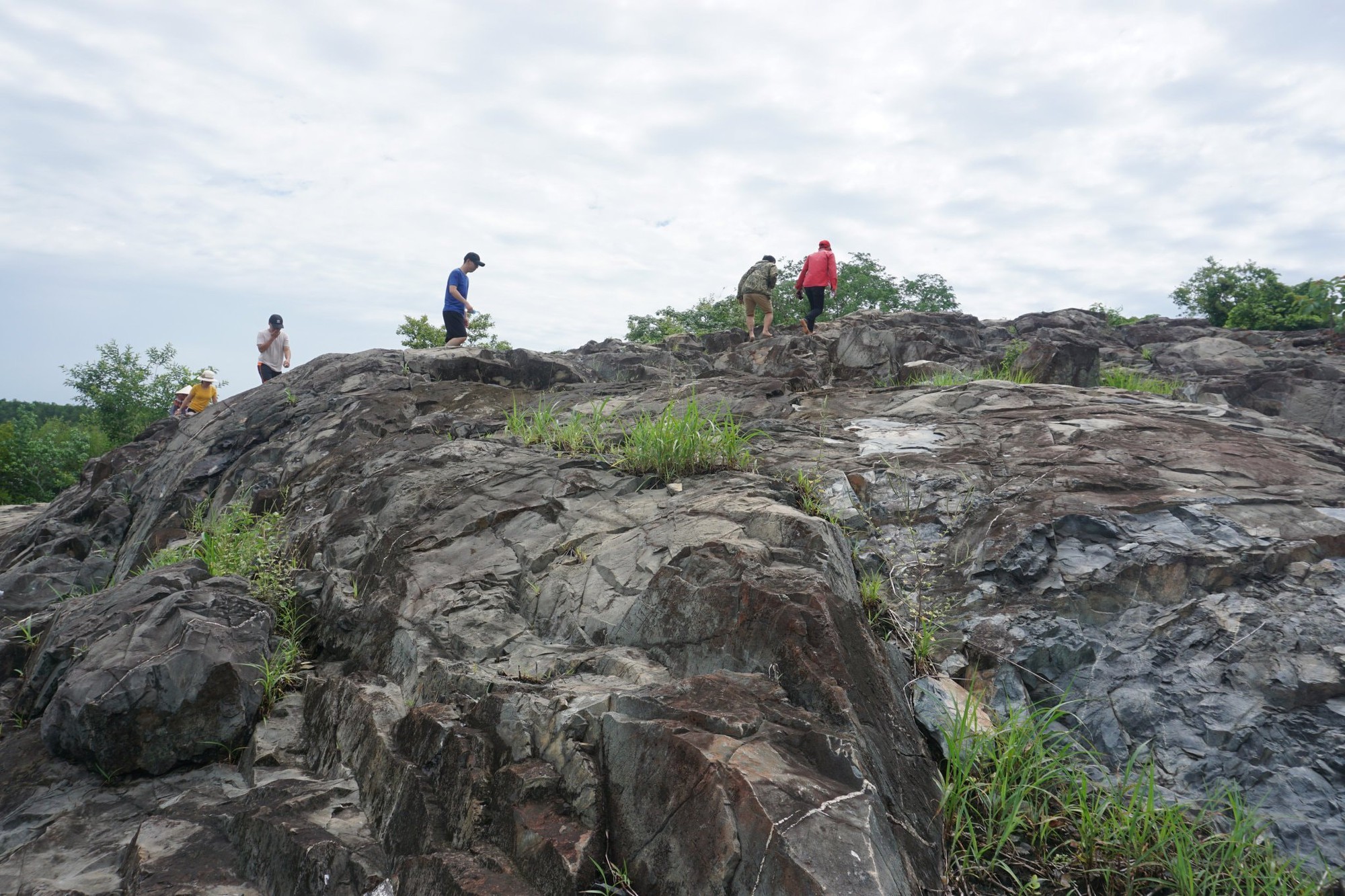 Ngọn núi ở TP.HCM cao hơn 10m: Được ví như "núi dễ leo nhất Việt Nam", xung quanh là hệ sinh thái hiếm có - Ảnh 3.