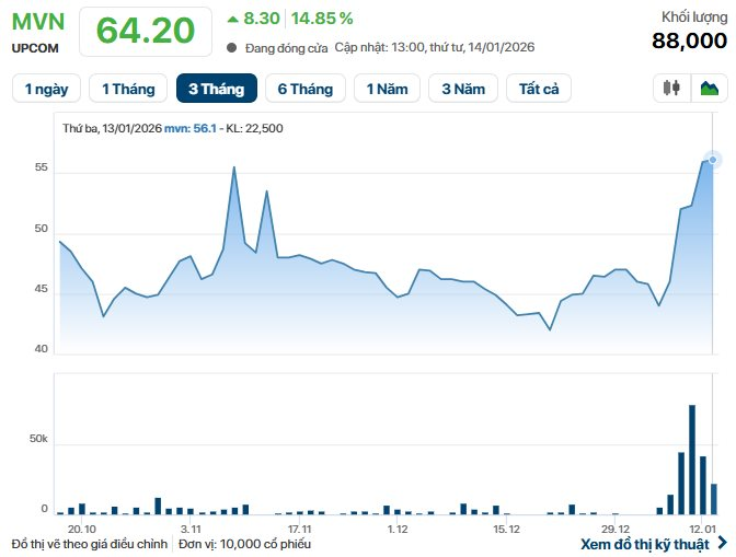 Cổ phiếu "gã khổng lồ" ngành logistics "tím lịm" sau khi đánh tiếng thoái vốn Nhà nước, vốn hóa chạm ngưỡng 3 tỷ USD- Ảnh 1.