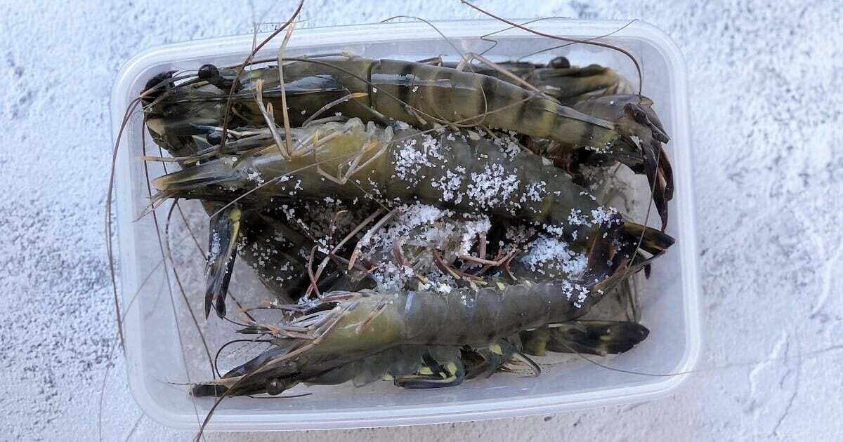 Tôm mua về ĐỪNG vội cho vào tủ lạnh: Thêm đúng 1 thứ này, tôm để lâu vẫn tươi như mới- Ảnh 1.