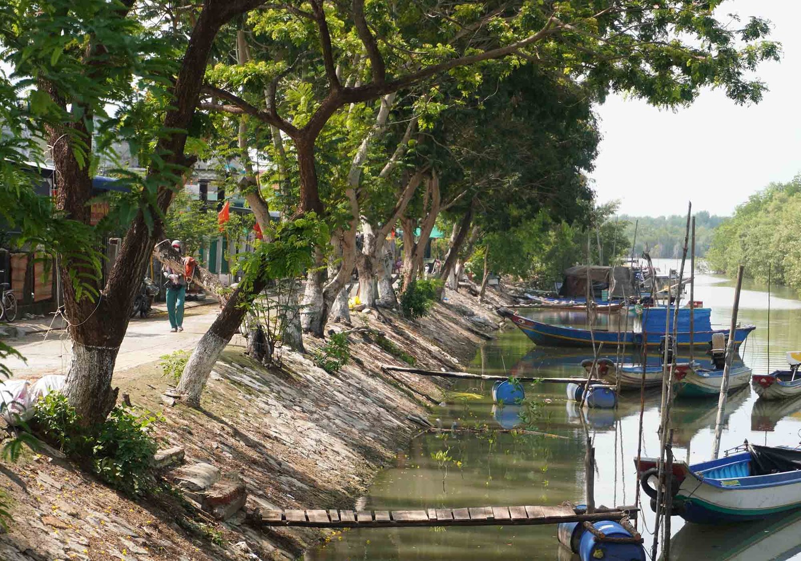 Ngọn núi ở TP.HCM cao hơn 10m: Được ví như "núi dễ leo nhất Việt Nam", xung quanh là hệ sinh thái hiếm có - Ảnh 4.