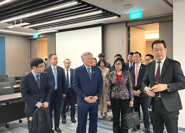 Gần 20 doanh nghiệp Singapore tề tựu, hiến kế cho Việt Nam- Ảnh 2.