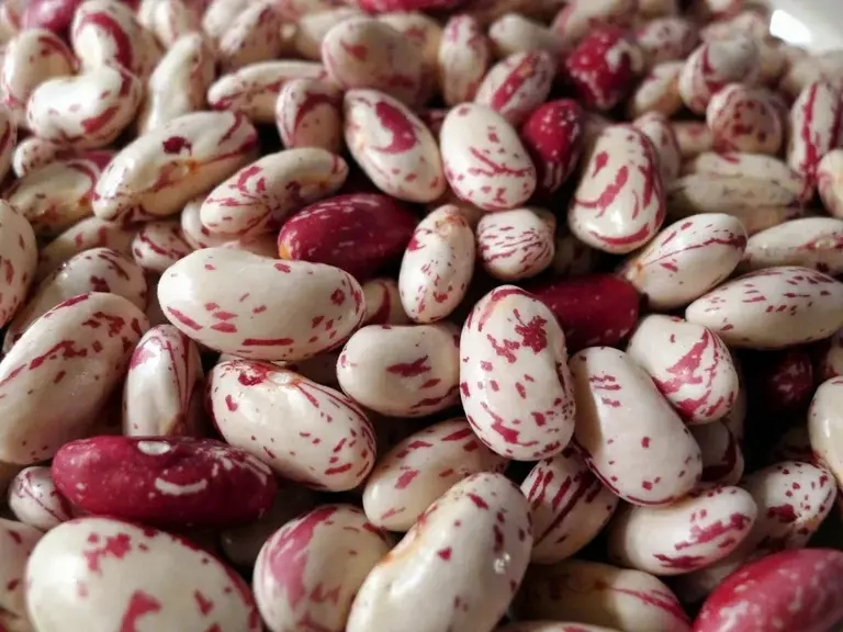 5 thực phẩm mà chuyên gia về sống thọ ăn hàng ngày- Ảnh 3.